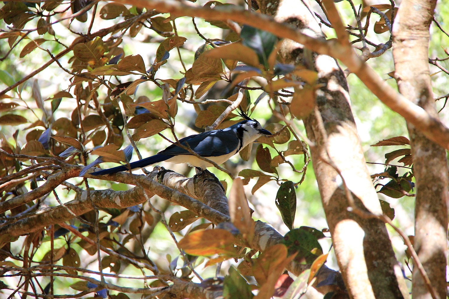 Costa Rica